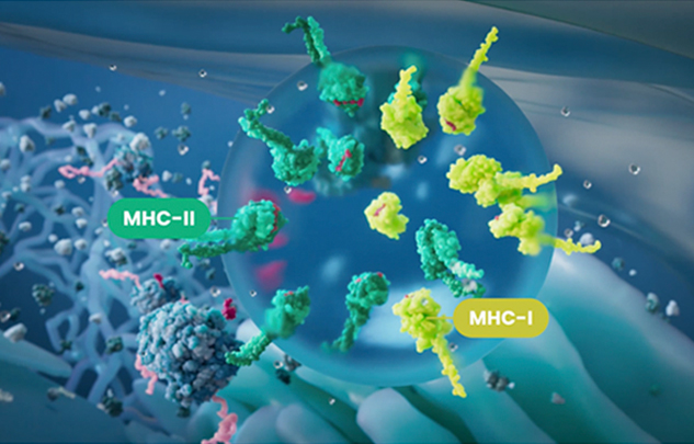 CNS 2024 Conference Presentation: Diakonos Oncology’s Autologous Dendritic Cell Vaccine (DOC1021) Yields 93% 12-Month Survival for Glioblastoma Patients